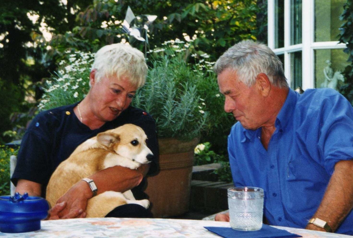 Palatinate Pixies Image